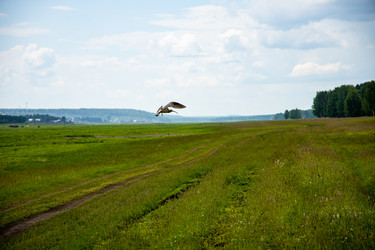 Similar image 21018648