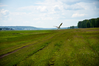 Similar image 21018649