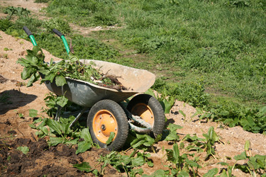 Similar image 21013791