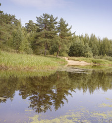 Similar image 21016590