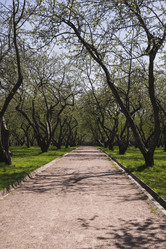 Similar image 21016591