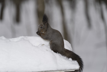 Similar image 21016676