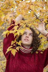 Similar image 21019235