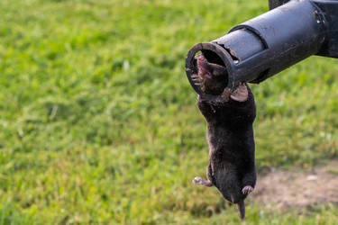 Similar image 21016551