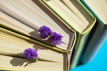 Similar image 21016552