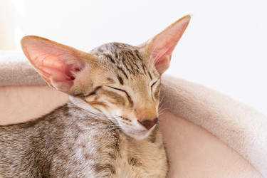 Similar image 21016557