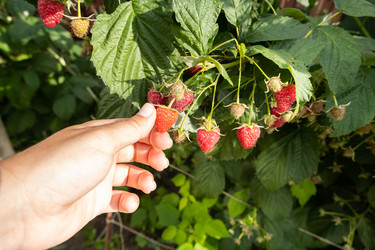 Similar image 21016559