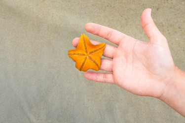 Similar image 21016563