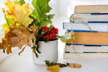 Similar image 21016565