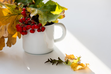 Similar image 21016566