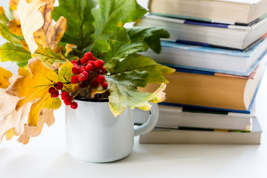 Similar image 21016567