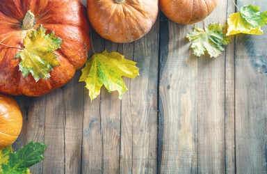 Similar image 21014656