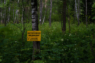 Similar image 21016468