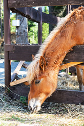 Similar image 21018190