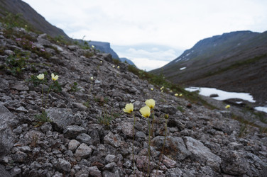 Similar image 21018541