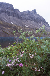 Similar image 21018543