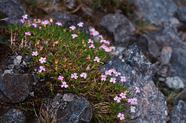 Similar image 21018546