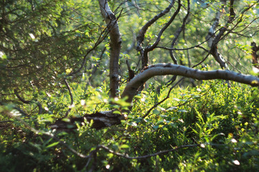 Similar image 21018549