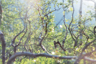 Similar image 21018550