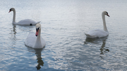 Similar image 21018556