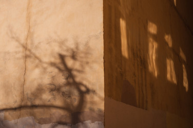 Similar image 21018559