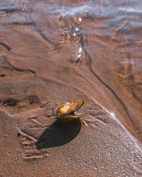 Similar image 21018566