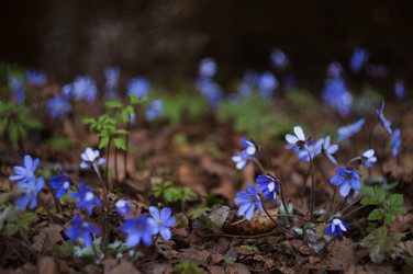 Similar image 21018578