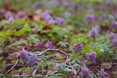 Similar image 21018580