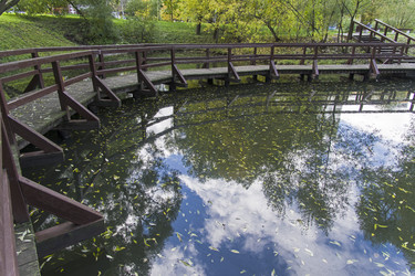 Similar image 21016477