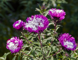 Similar image 21016480