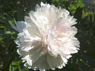 Similar image 21016490