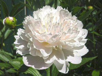 Similar image 21016491