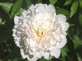 Similar image 21016492