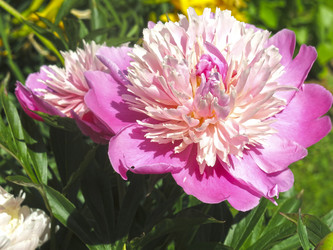 Similar image 21016493