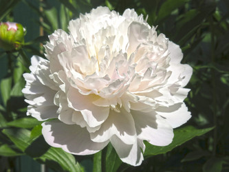 Similar image 21016494