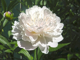 Similar image 21016495