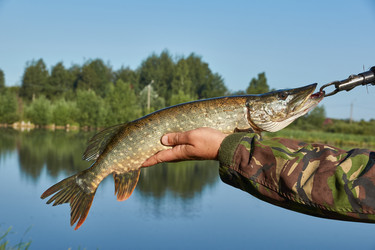 Similar image 21018192