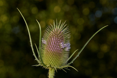 Similar image 21018194