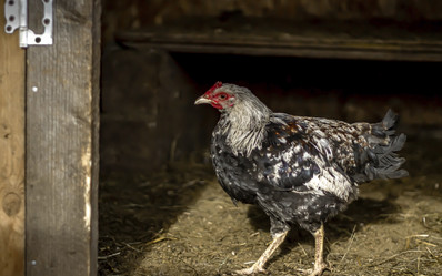 Similar image 21018687