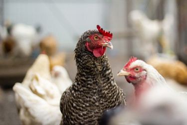 Similar image 21018688