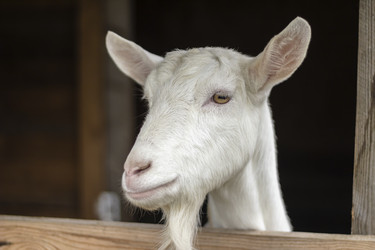 Similar image 21018693