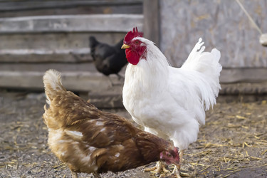 Similar image 21018694