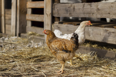 Similar image 21018695