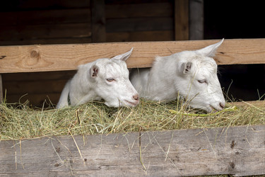 Similar image 21018697