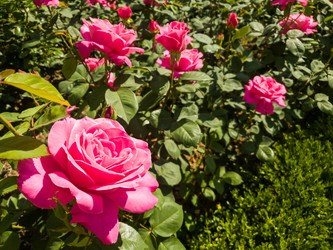 Similar image 21018468