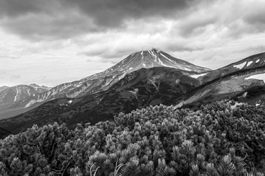 Similar image 21018479