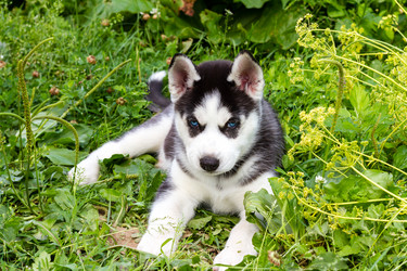 Similar image 21018486