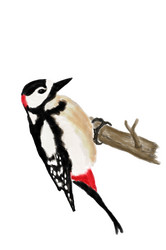 Similar image 21016496