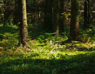 Similar image 21018489