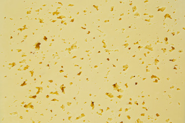 Similar image 21018823